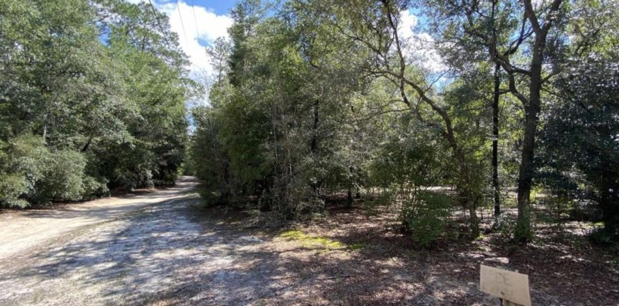 Terreno en Holt, Florida № 561128