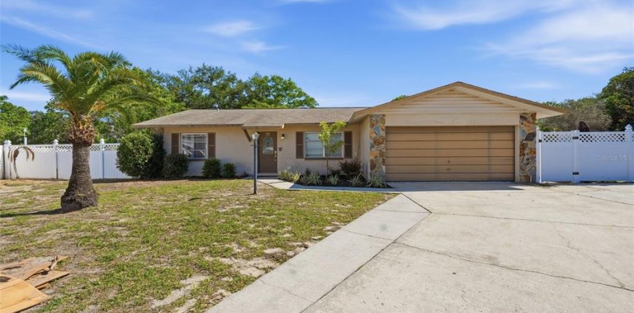 Villa ou maison à Tarpon Springs, Floride 3 chambres, 169.27 m2 № 2100758
