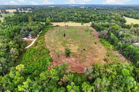 Terreno en venta en Alachua, Florida № 2304758 - foto 13