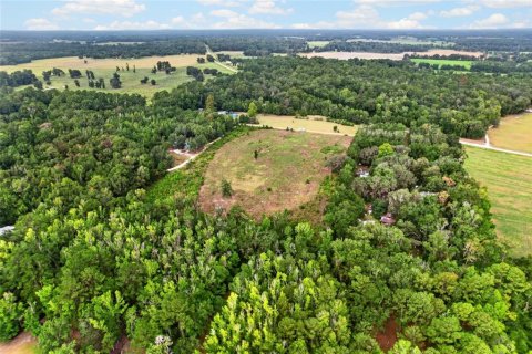 Terreno en venta en Alachua, Florida № 2304758 - foto 10