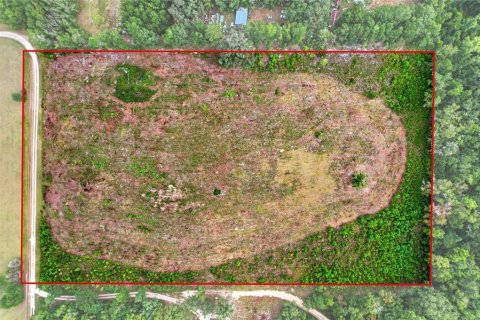 Terreno en venta en Alachua, Florida № 2304758 - foto 14