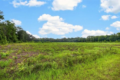 Terreno en venta en Alachua, Florida № 2304758 - foto 6