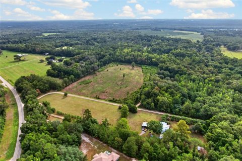 Terreno en venta en Alachua, Florida № 2304758 - foto 5