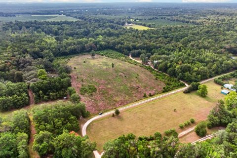 Terreno en venta en Alachua, Florida № 2304758 - foto 4