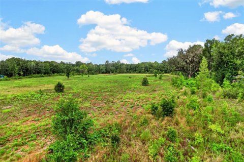 Terreno en venta en Alachua, Florida № 2304758 - foto 7