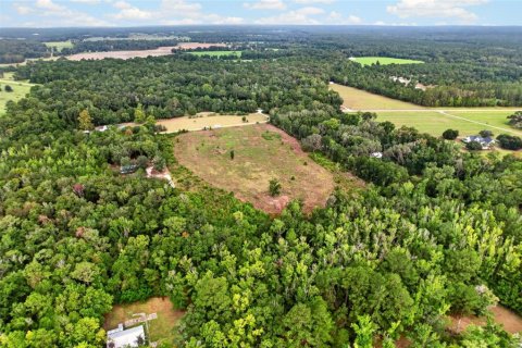 Terreno en venta en Alachua, Florida № 2304758 - foto 11