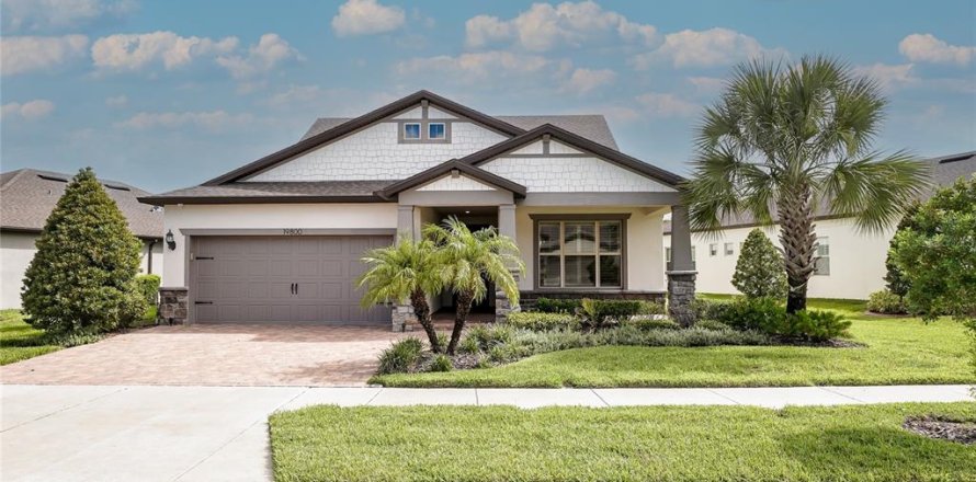 Villa ou maison à Land O' Lakes, Floride 4 chambres, 285.21 m2 № 2351779
