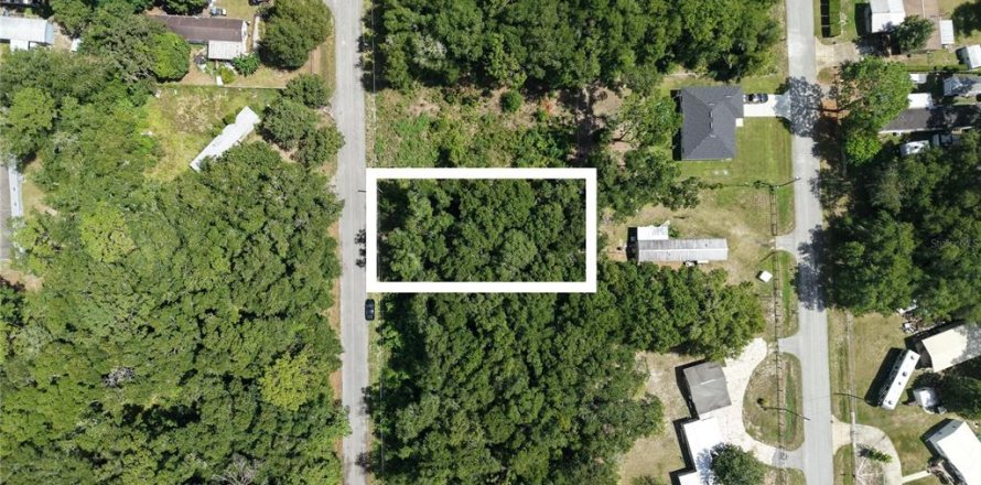 Terrain à Ocala, Floride № 2221225