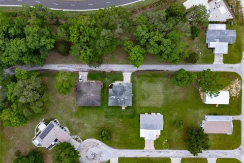 Land in Wildwood, Florida № 2275519 - photo 3