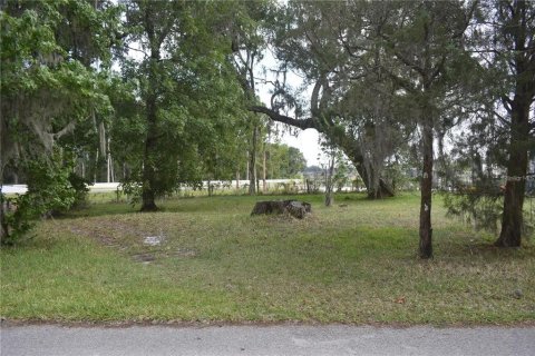 Land in Wildwood, Florida № 2275519
