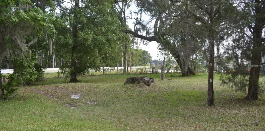 Land in Wildwood, Florida № 2275519