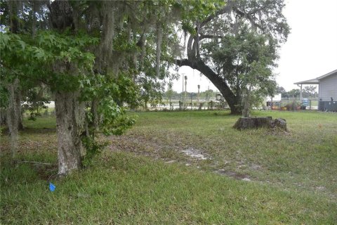 Land in Wildwood, Florida № 2275519 - photo 4