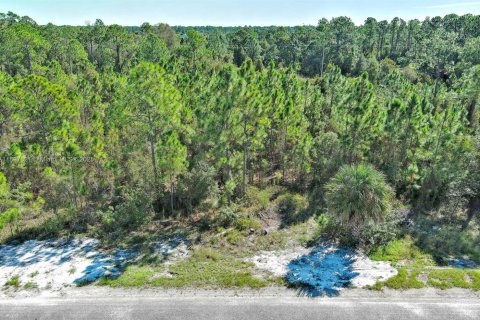 Terrain à vendre à Lehigh Acres, Floride № 2158450 - photo 25