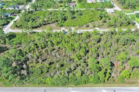 Terrain à vendre à Lehigh Acres, Floride № 2158450 - photo 23