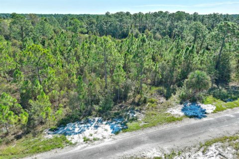 Terrain à Lehigh Acres, Floride № 2158450