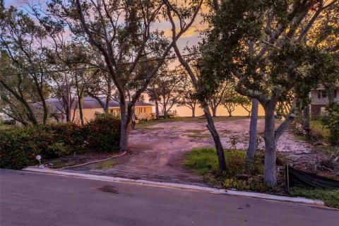 Land in Saint Petersburg, Florida № 1854552 - photo 17