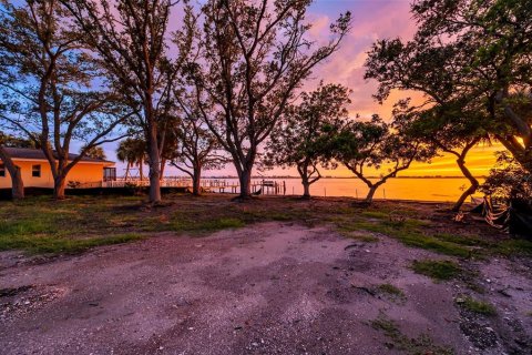 Land in Saint Petersburg, Florida № 1854552 - photo 4