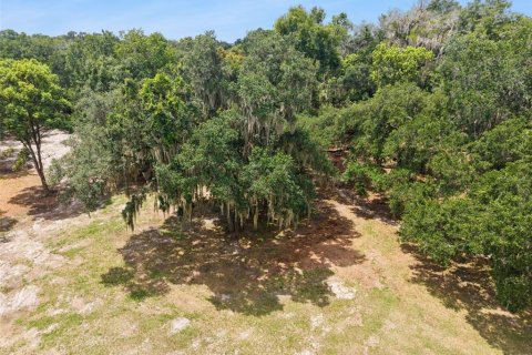 Terrain à vendre à Apopka, Floride № 2315184 - photo 24