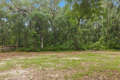 Terrain à vendre à Apopka, Floride № 2315184 - photo 22
