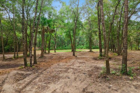 Terrain à vendre à Apopka, Floride № 2315184 - photo 18
