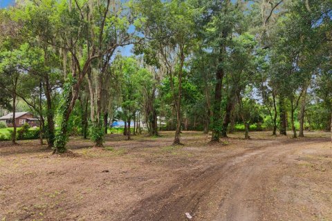 Terrain à vendre à Apopka, Floride № 2315184 - photo 5