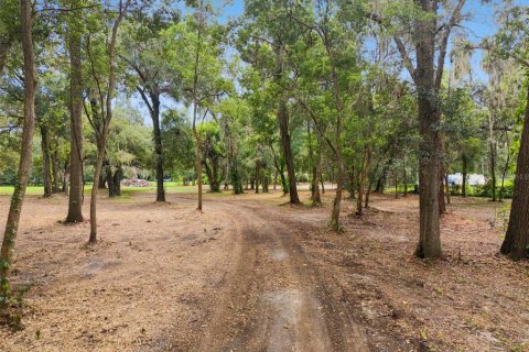 Terrain à vendre à Apopka, Floride № 2315184 - photo 6