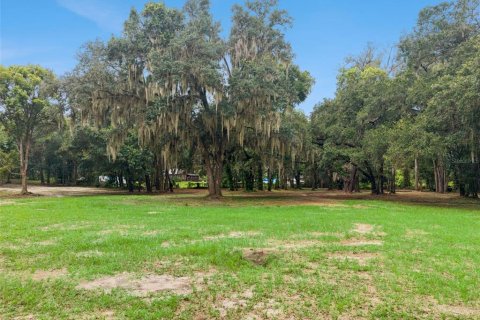 Terrain à vendre à Apopka, Floride № 2315184 - photo 23