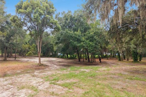 Terrain à vendre à Apopka, Floride № 2315184 - photo 20