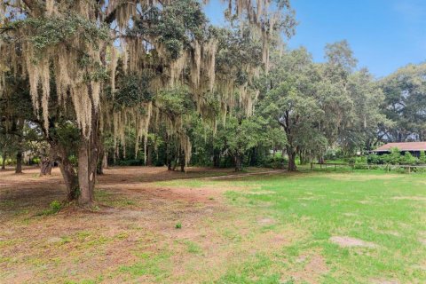 Terrain à vendre à Apopka, Floride № 2315184 - photo 21
