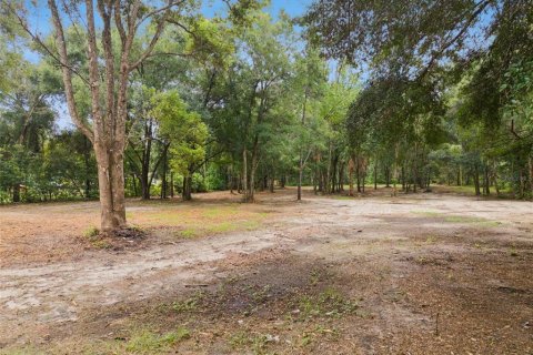Terrain à vendre à Apopka, Floride № 2315184 - photo 16