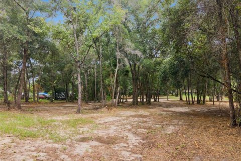 Terrain à vendre à Apopka, Floride № 2315184 - photo 19