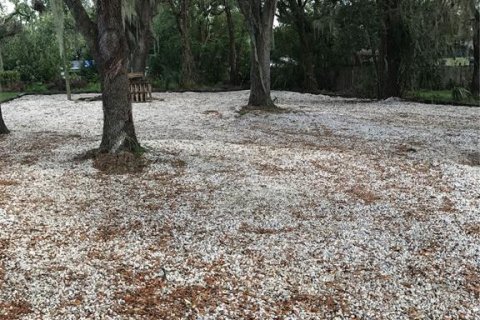 Apartamento en alquiler en Mount Dora, Florida, 1 dormitorio, 57.13 m2 № 1919036 - foto 8