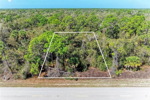 Land in Port Charlotte, Florida № 2228975