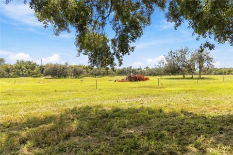 Land in Astatula, Florida № 2383481 - photo 4