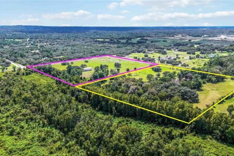 Land in Astatula, Florida № 2383481 - photo 15