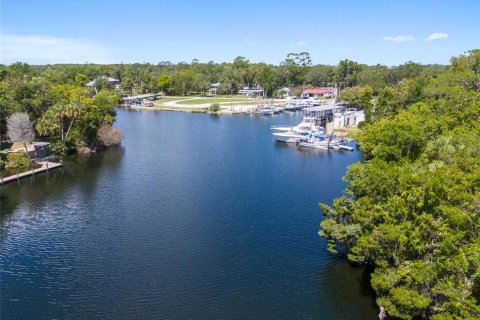 Land in Yankeetown, Florida № 1886494 - photo 26