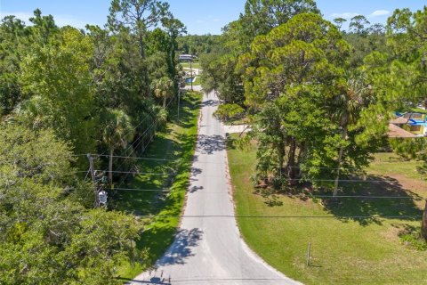 Land in Yankeetown, Florida № 1886494 - photo 20