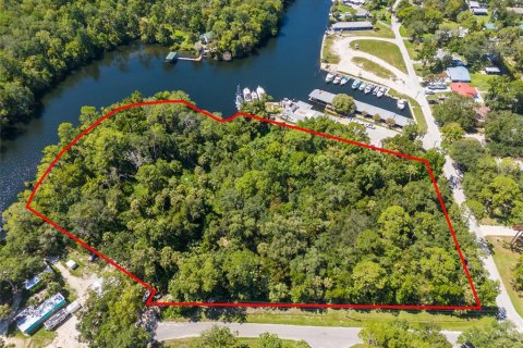 Land in Yankeetown, Florida № 1886494 - photo 3