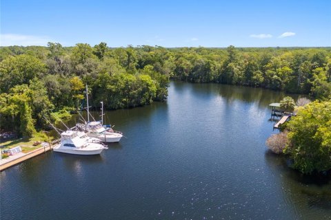 Land in Yankeetown, Florida № 1886494 - photo 5