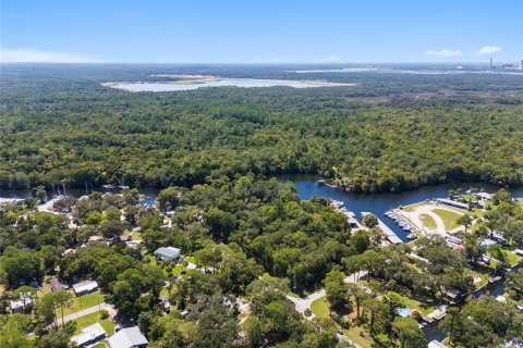 Land in Yankeetown, Florida № 1886494 - photo 6
