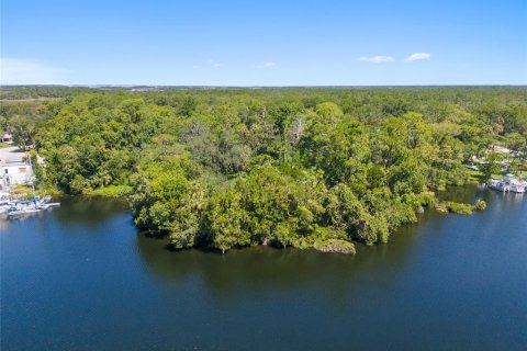 Land in Yankeetown, Florida № 1886494 - photo 27