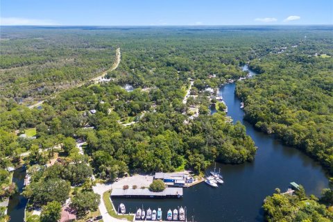 Land in Yankeetown, Florida № 1886494 - photo 4