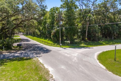 Land in Yankeetown, Florida № 1886494 - photo 21