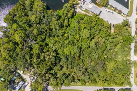 Land in Yankeetown, Florida № 1886494 - photo 16