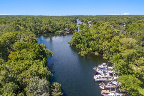 Land in Yankeetown, Florida № 1886494 - photo 29