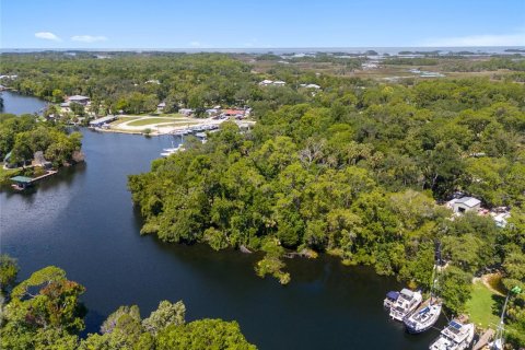 Land in Yankeetown, Florida № 1886494 - photo 30