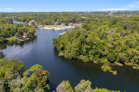 Land in Yankeetown, Florida № 1886494 - photo 28