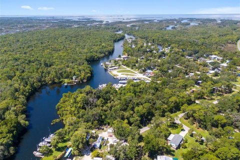 Land in Yankeetown, Florida № 1886494 - photo 12