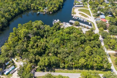 Land in Yankeetown, Florida № 1886494 - photo 15