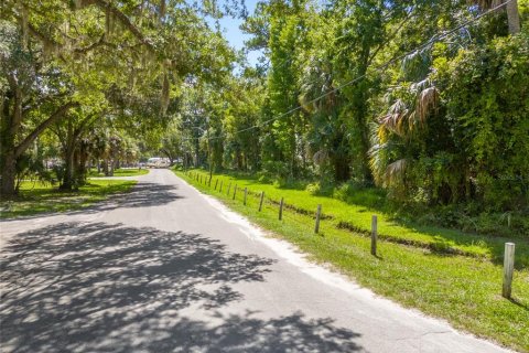 Land in Yankeetown, Florida № 1886494 - photo 22